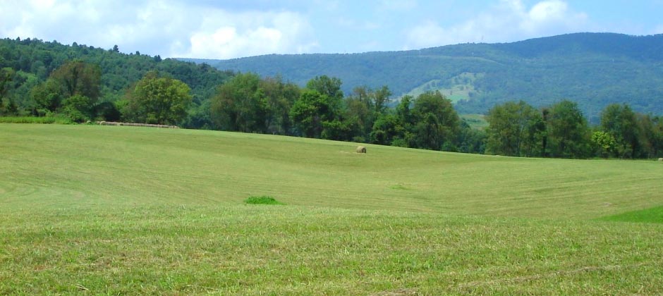 Beautiful Scenic Views